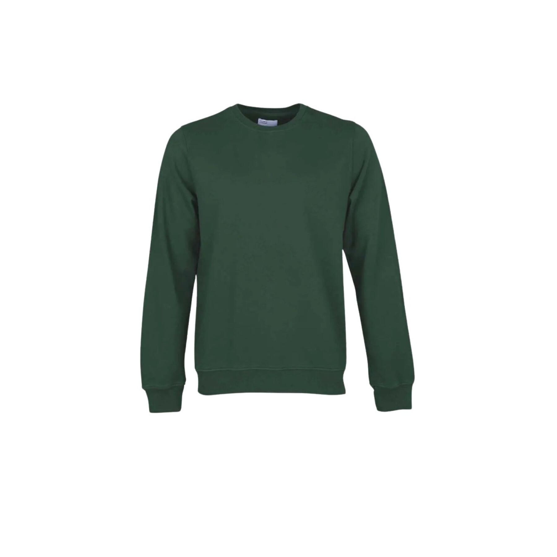 Bluza z okrągłym dekoltem Colorful Standard Classic Organic emerald green