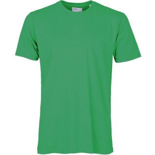 Koszulka Colorful Standard Classic Organic kelly green