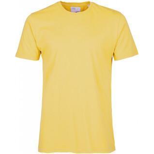 Koszulka Colorful Standard Classic Organic lemon yellow