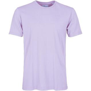Koszulka Colorful Standard Classic Organic soft lavender