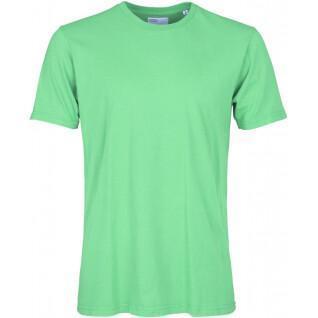 Koszulka Colorful Standard Classic Organic spring green