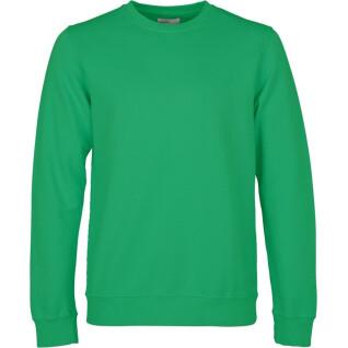 Bluza z okrągłym dekoltem Colorful Standard Classic Organic kelly green