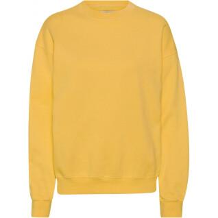 Bluza z okrągłym dekoltem Colorful Standard Organic oversized burned yellow