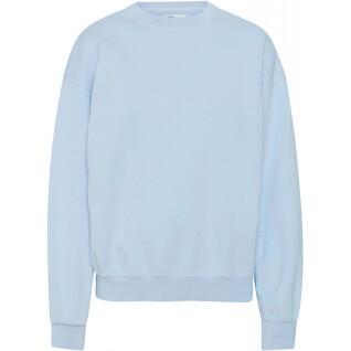 Bluza z okrągłym dekoltem Colorful Standard Organic oversized polar blue