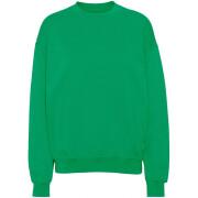 Bluza z okrągłym dekoltem Colorful Standard Organic oversized kelly green